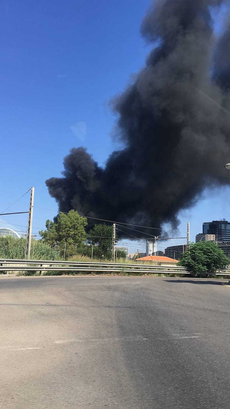 Fotos: Incendio en l&#039;Oceanogràfic de Valencia