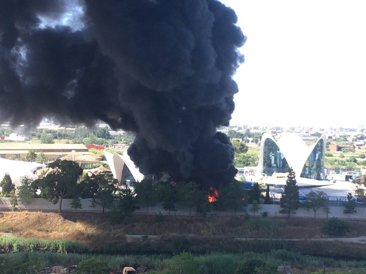 Fotos: Incendio en l&#039;Oceanogràfic de Valencia