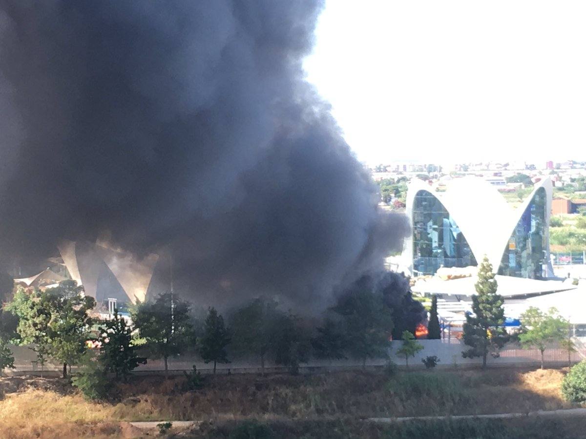 Fotos: Incendio en l&#039;Oceanogràfic de Valencia