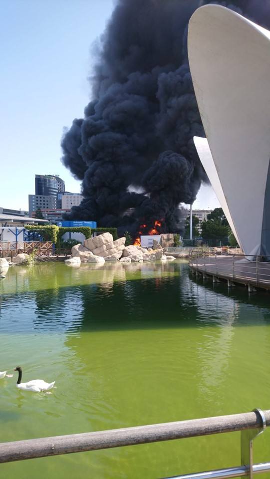 Fotos: Incendio en l&#039;Oceanogràfic de Valencia