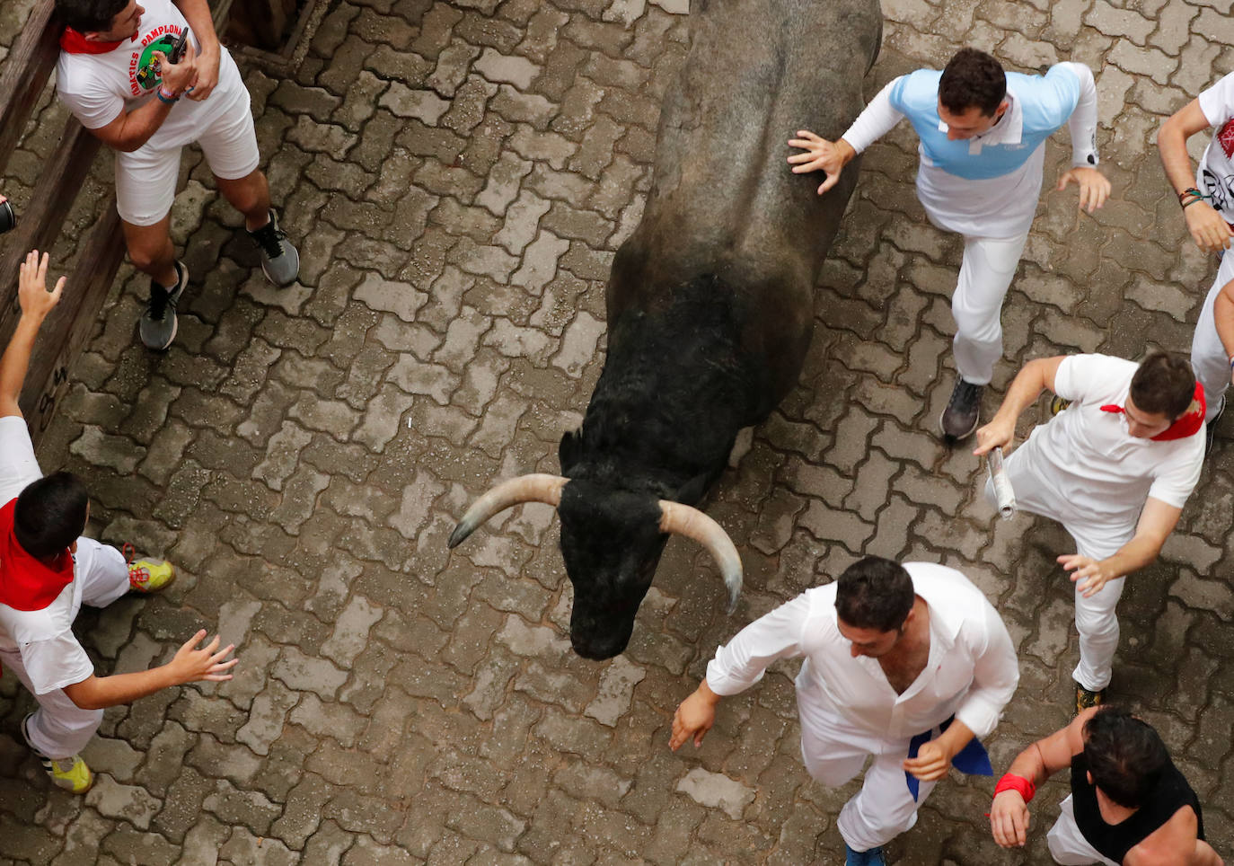 Los toros de José Escolar han recorrido las calles de Pamplona en dos minutos y 13 segundos. Es el encierro más rápido de este año.