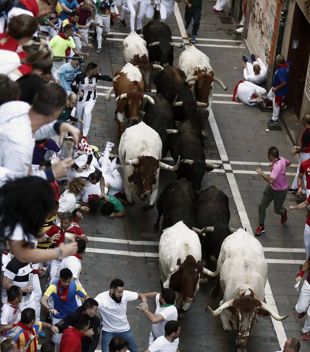 Los toros de Jandilla siguen la tónica de encierro veloz. Los astados dejan fuera su fama de peligrosos tras realizar un recorrido rápido y ordenado en dos minutos y diecinueve segundos. La carrera ha finalizado sin heridos, aunque con bastantes golpes.