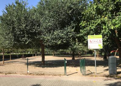 Imagen secundaria 1 - Paelleros del Parque de La Canaleta. Zona para perros. Evelyn, usuaria del parque que disfruta leyendo bajo un árbol.