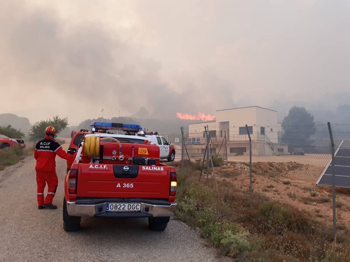 Un incendio forestal en Beneixama (Alicante), cerca de la comarca de la Vall d'Albaida (Valencia) ha movilizado a medio centenar de vehículos y equipos terrestres y una quincena de aéreos.