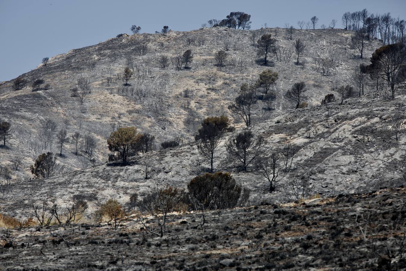 Un incendio forestal en Beneixama (interior norte de Alicante), cerca de la comarca de la Vall d'Albaida (Valencia), ha movilizado a media tarde del lunes a medio centenar de vehículos y equipos terrestres y una quincena de aéreos.