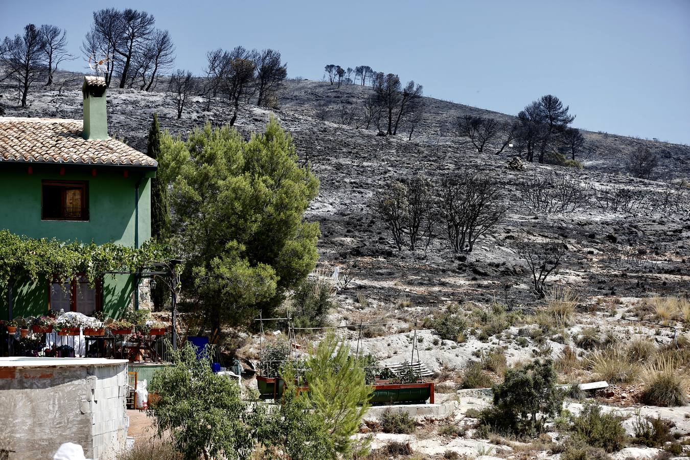 Un incendio forestal en Beneixama (interior norte de Alicante), cerca de la comarca de la Vall d'Albaida (Valencia), ha movilizado a media tarde del lunes a medio centenar de vehículos y equipos terrestres y una quincena de aéreos.