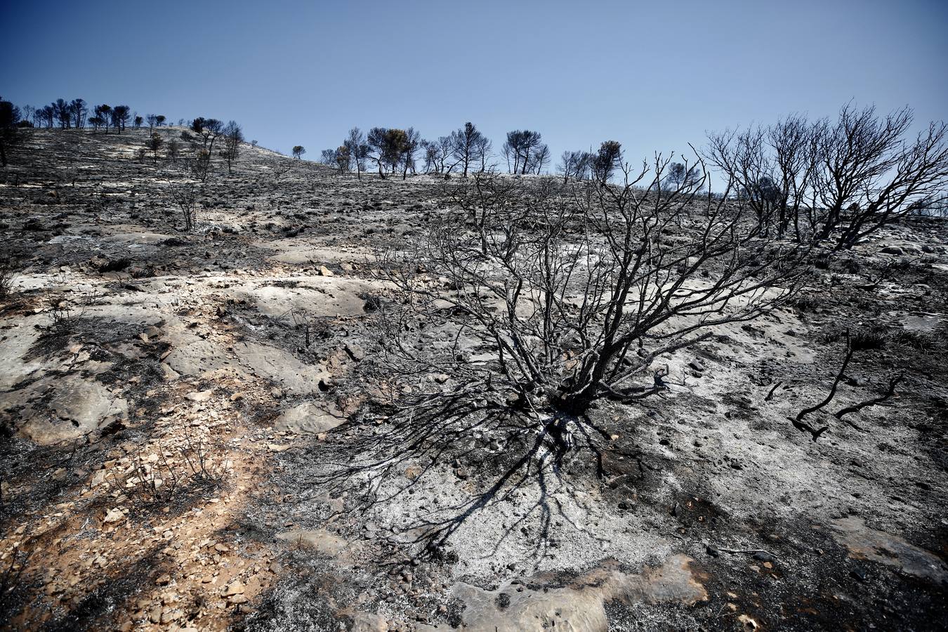 Un incendio forestal en Beneixama (interior norte de Alicante), cerca de la comarca de la Vall d'Albaida (Valencia), ha movilizado a media tarde del lunes a medio centenar de vehículos y equipos terrestres y una quincena de aéreos.