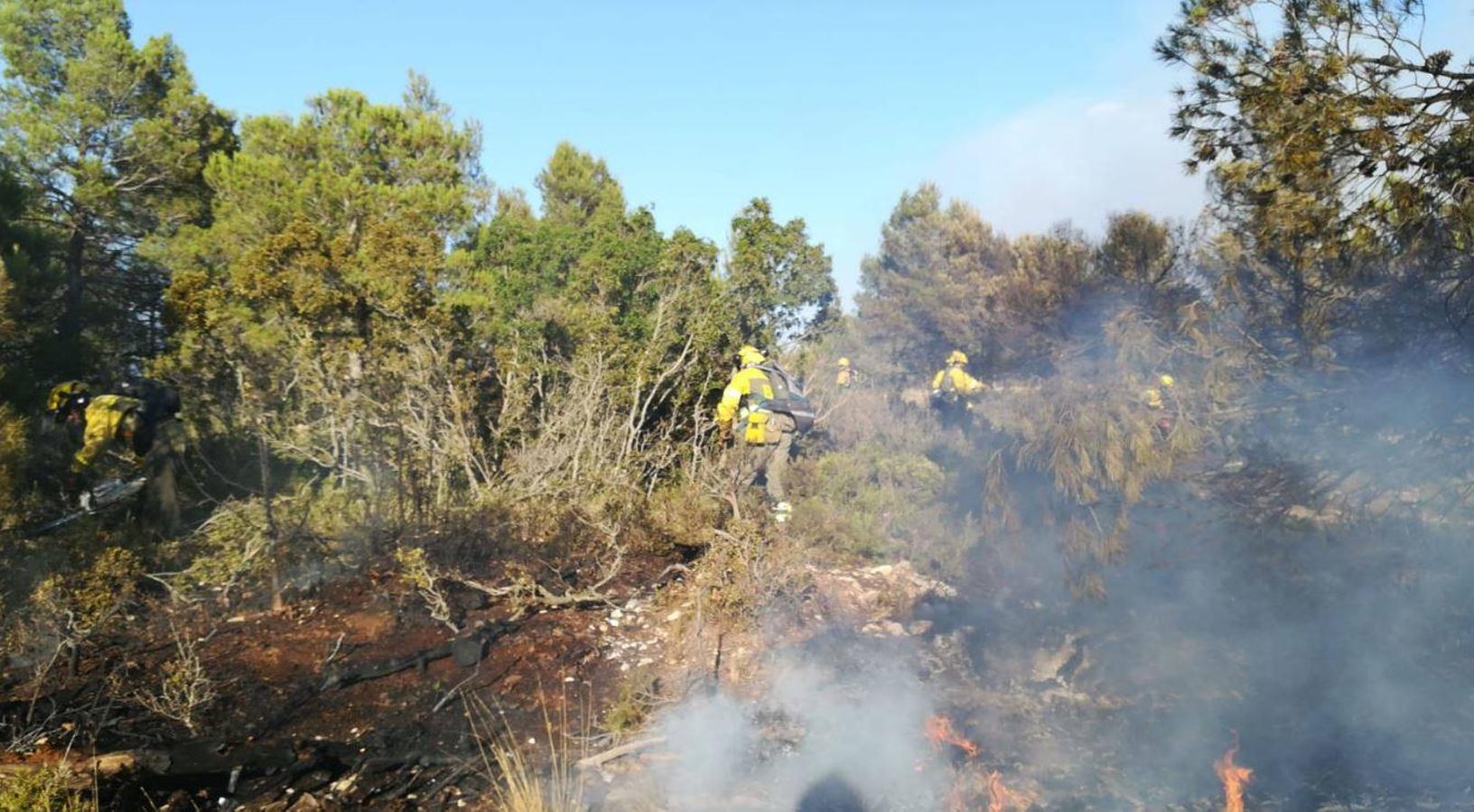 Un incendio forestal en Beneixama (interior norte de Alicante), cerca de la comarca de la Vall d'Albaida (Valencia), ha movilizado a media tarde del lunes a medio centenar de vehículos y equipos terrestres y una quincena de aéreos.