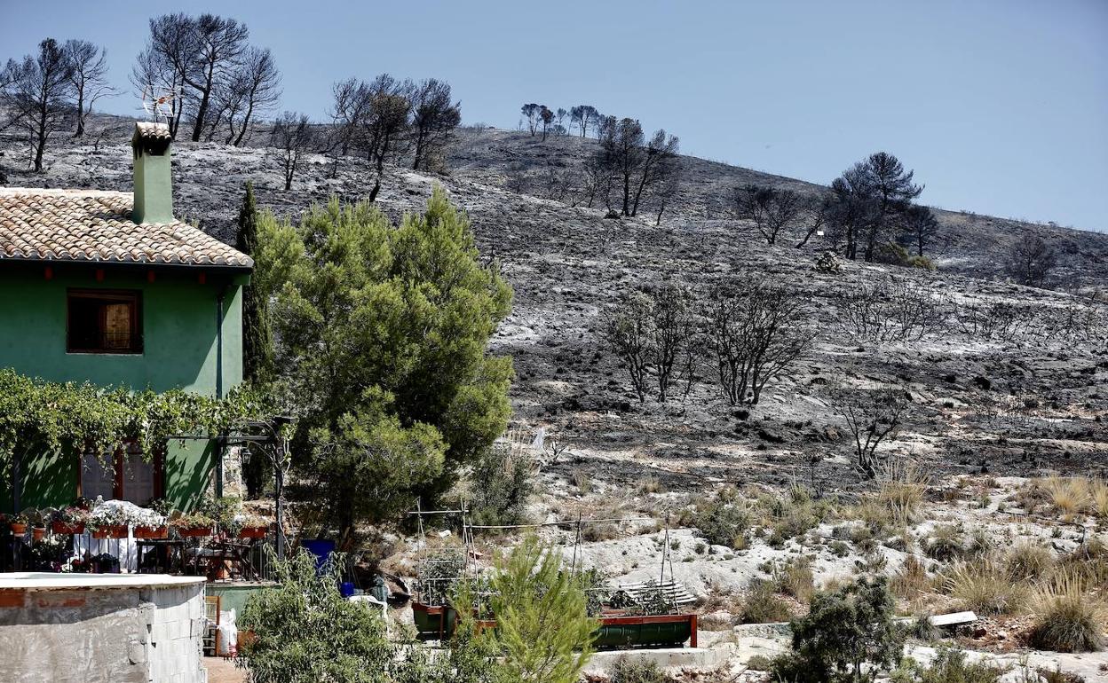 Monte quemado en el incendio de Beneixama.