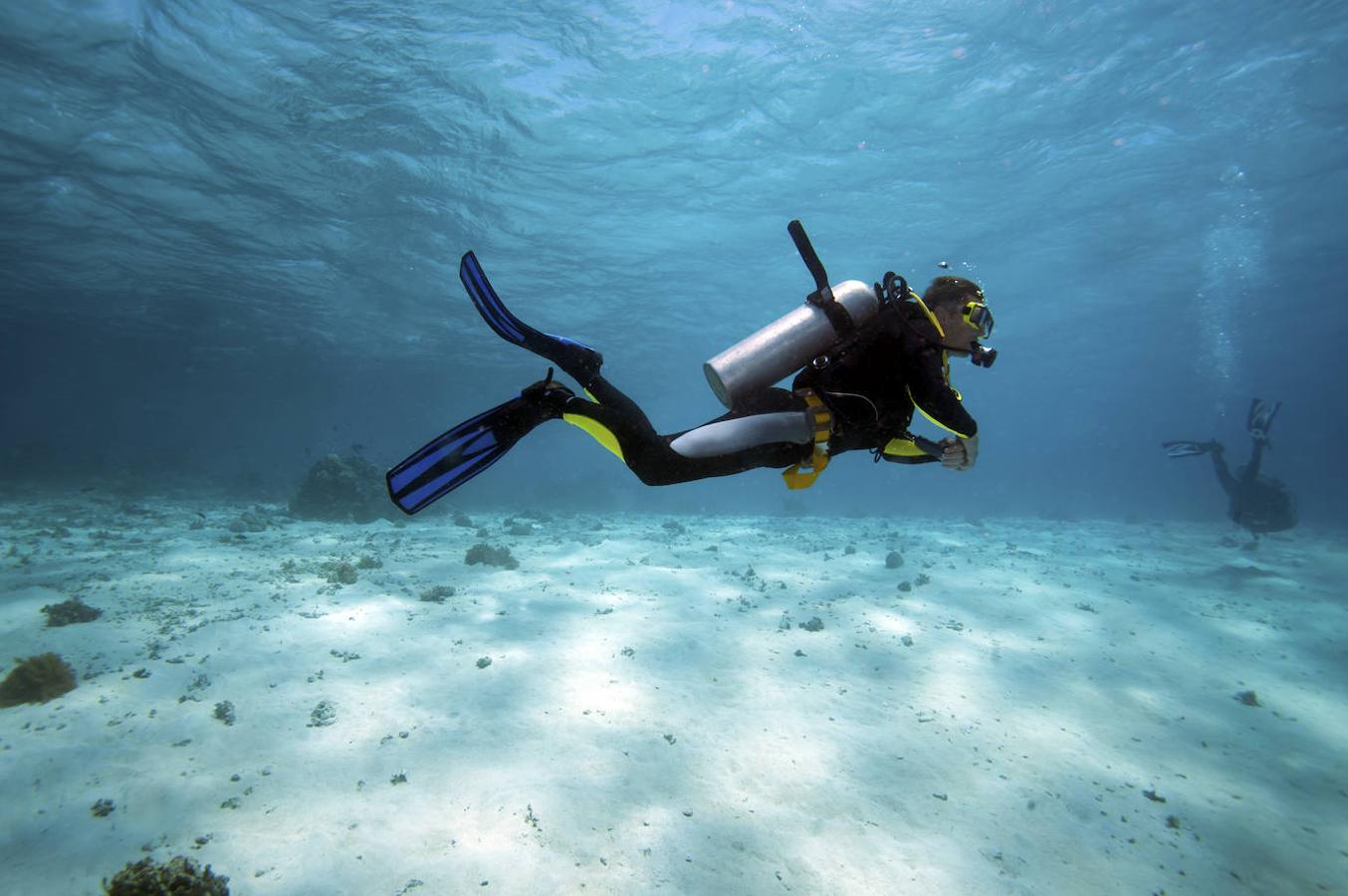 Buceo en Utila. Tanto si estás pensando en atreverte con el buceo por primera vez como si quieres perfeccionar tus habilidades y conseguir la certificación, Utila, una de las Islas de la Bahía de Honduras, es el destino ideal. Los amantes de la vida submarina disfrutarán en Utilia porque, además de ser uno de los lugares más baratos para bucear, practicarlo ofrece una estampa de película: cientos de arrecifes que son un espectáculo para los amantes de la vida marina. Después de realizar la actividad, uno de los mejores planes es ir al hotel a descansar y reponer fuerzas.