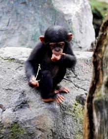 Imagen secundaria 2 - La fiesta de Coco. 