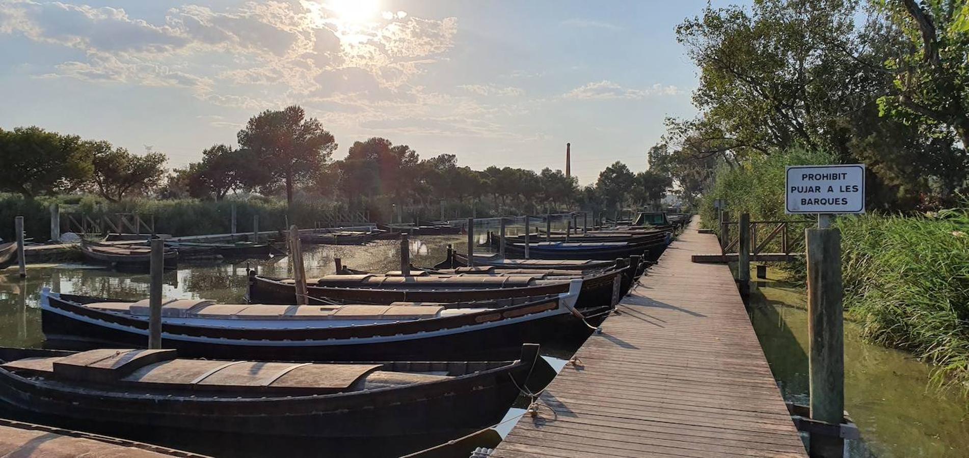 El puerto de Catarroja, naturaleza en barca