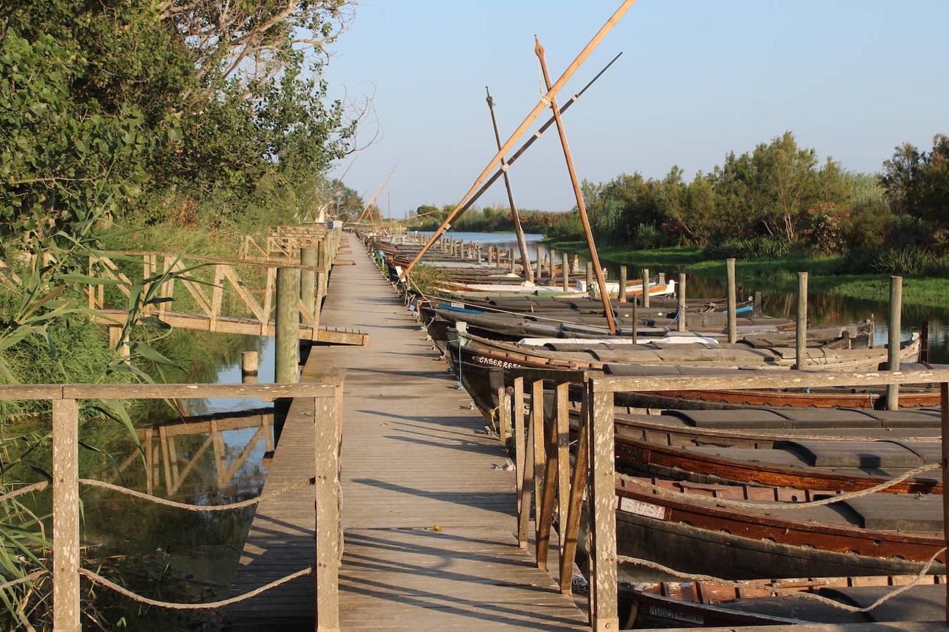 El puerto de Catarroja, naturaleza en barca