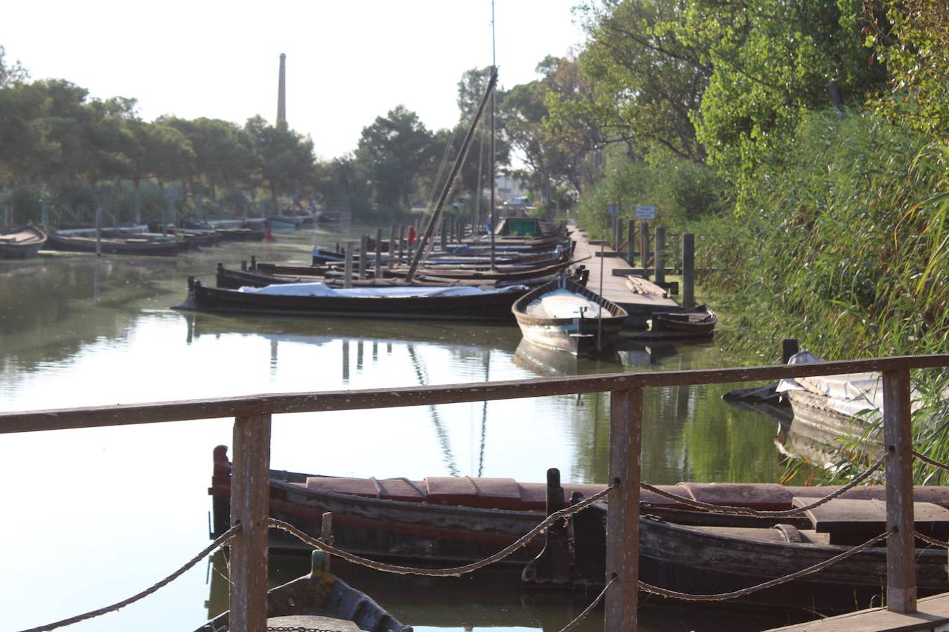 El puerto de Catarroja, naturaleza en barca