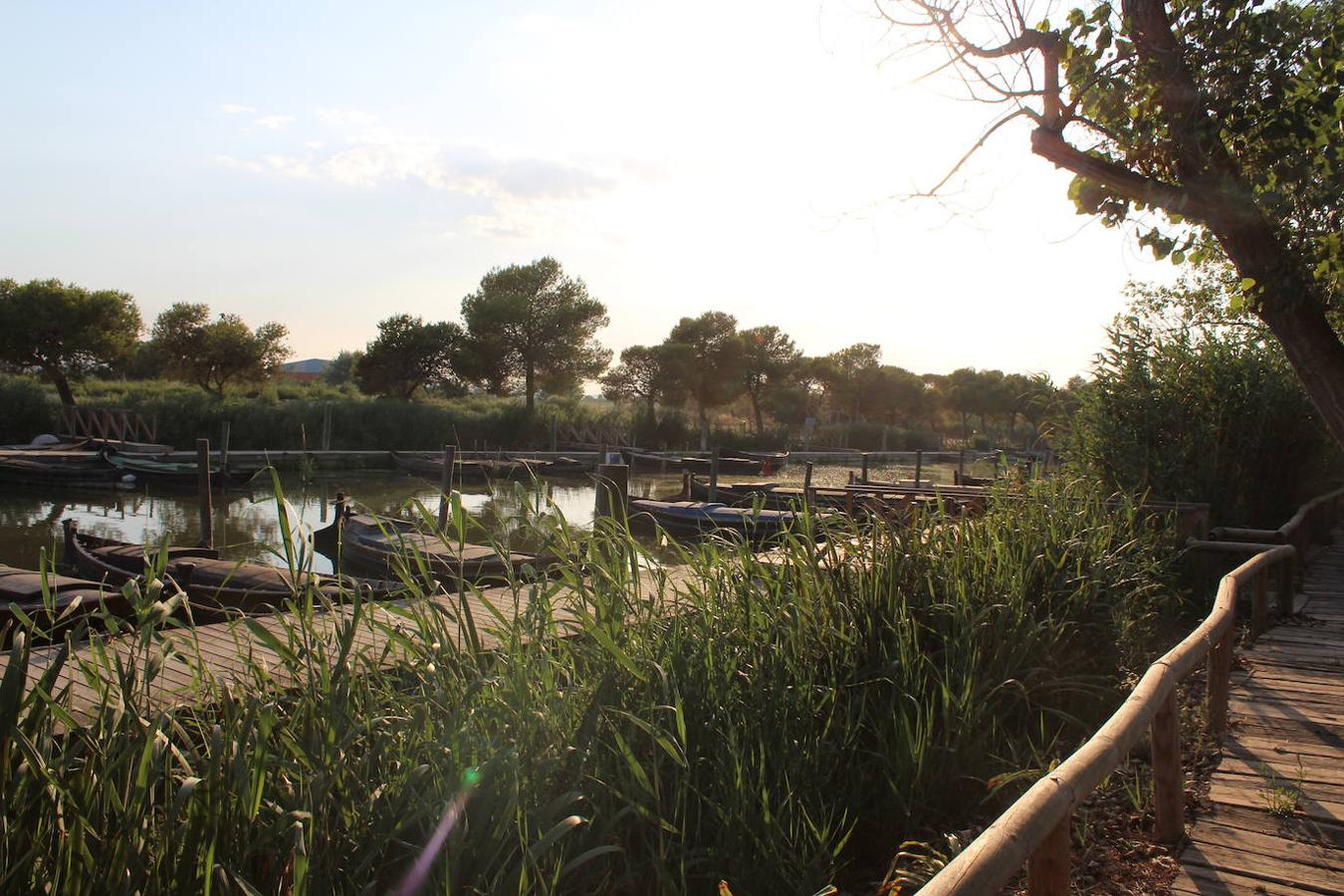 El puerto de Catarroja, naturaleza en barca