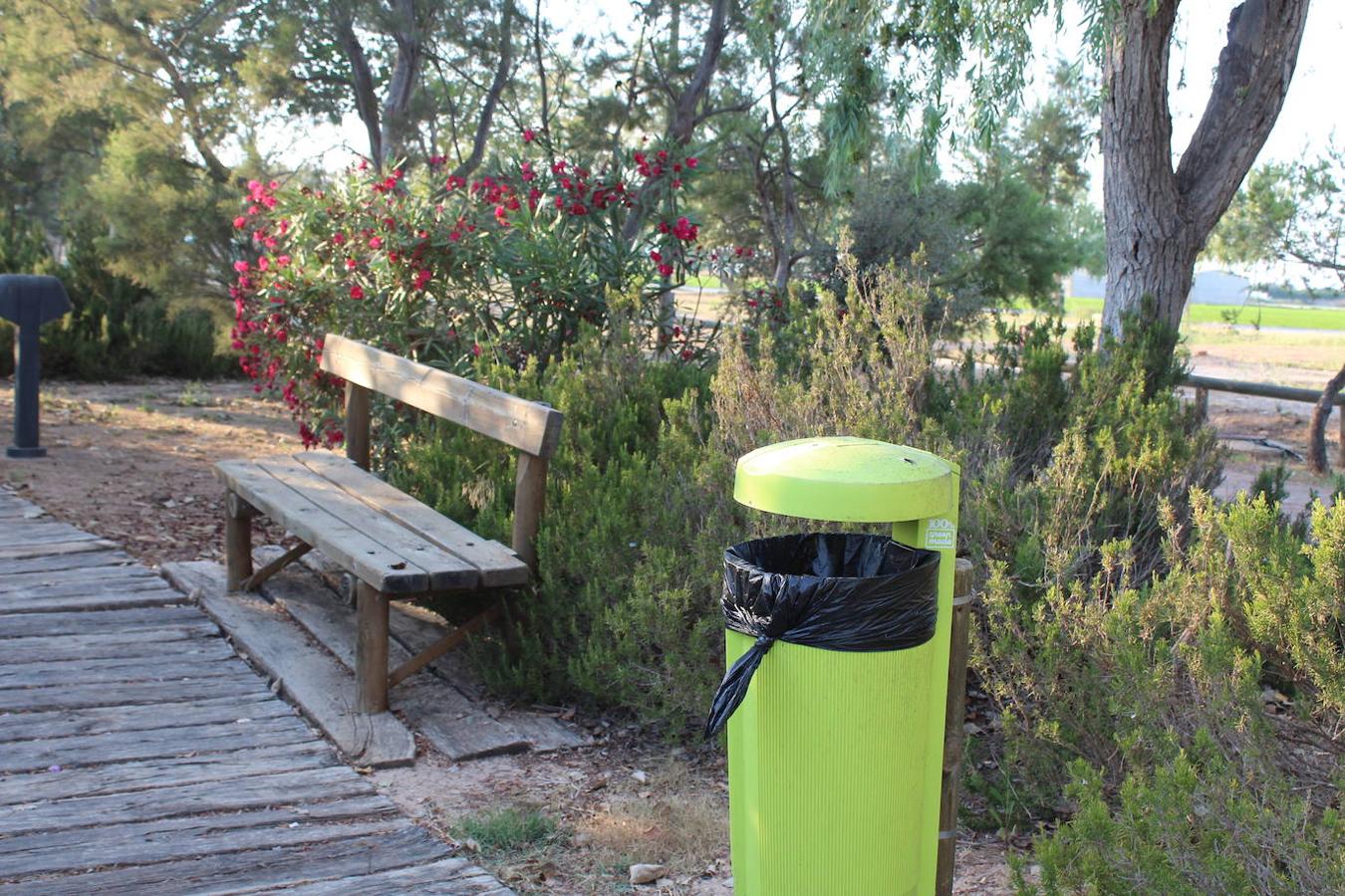 El puerto de Catarroja, naturaleza en barca