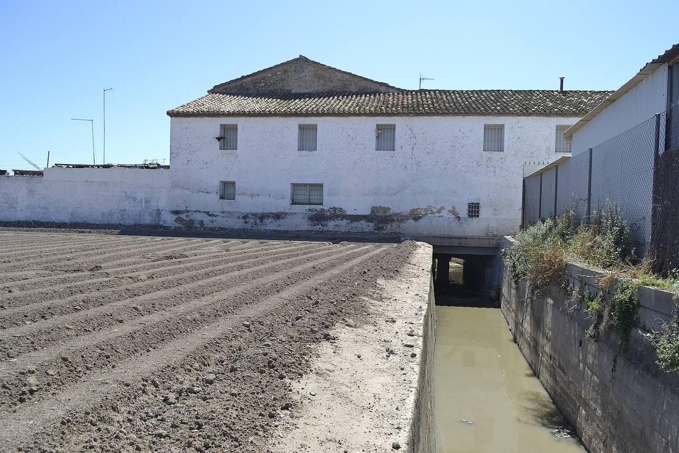 Fotos: Camí de Vera, el pulmón de Benimaclet