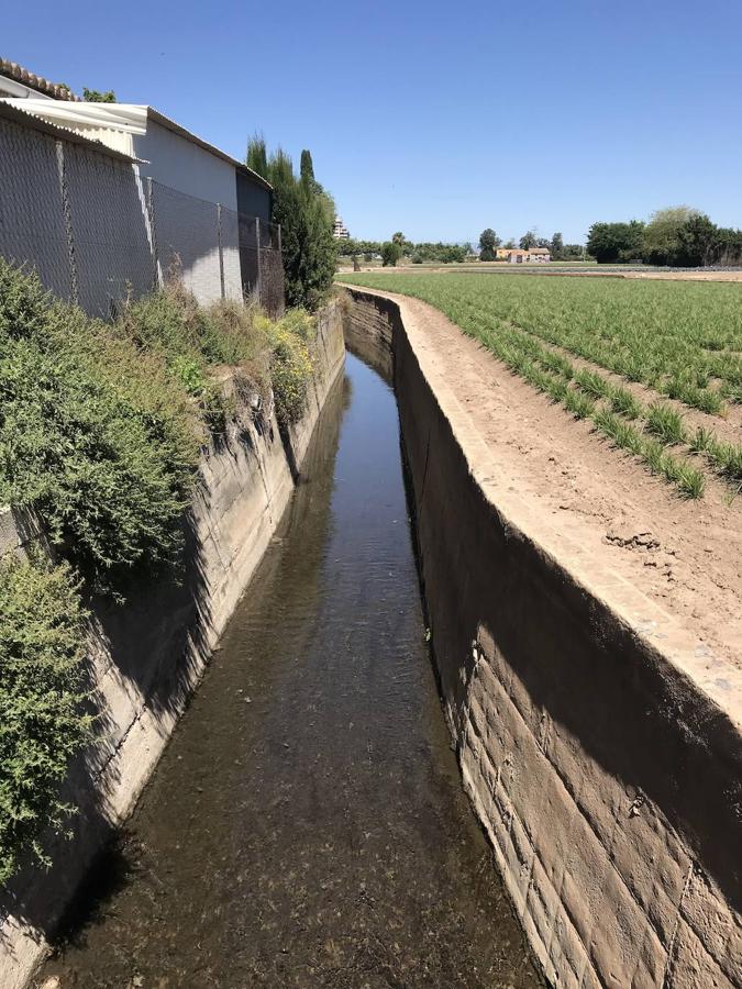 Fotos: Camí de Vera, el pulmón de Benimaclet