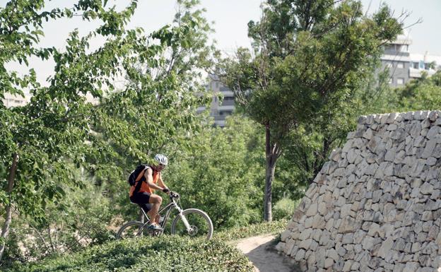 Imagen principal - La práctica de deportes como ciclismo o senderismo se repiten a diario en el parque. 