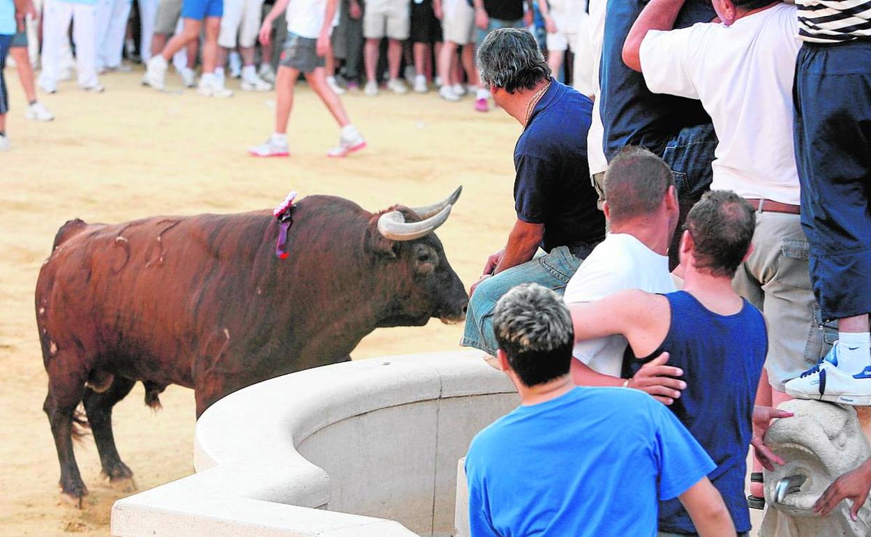 Un toro junto a la fuente de la plaza de Foios.