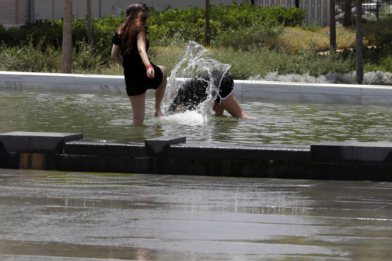 El Parc Central de Valencia, un lugar excepcional para pasar el verano sin salir de la ciudad.