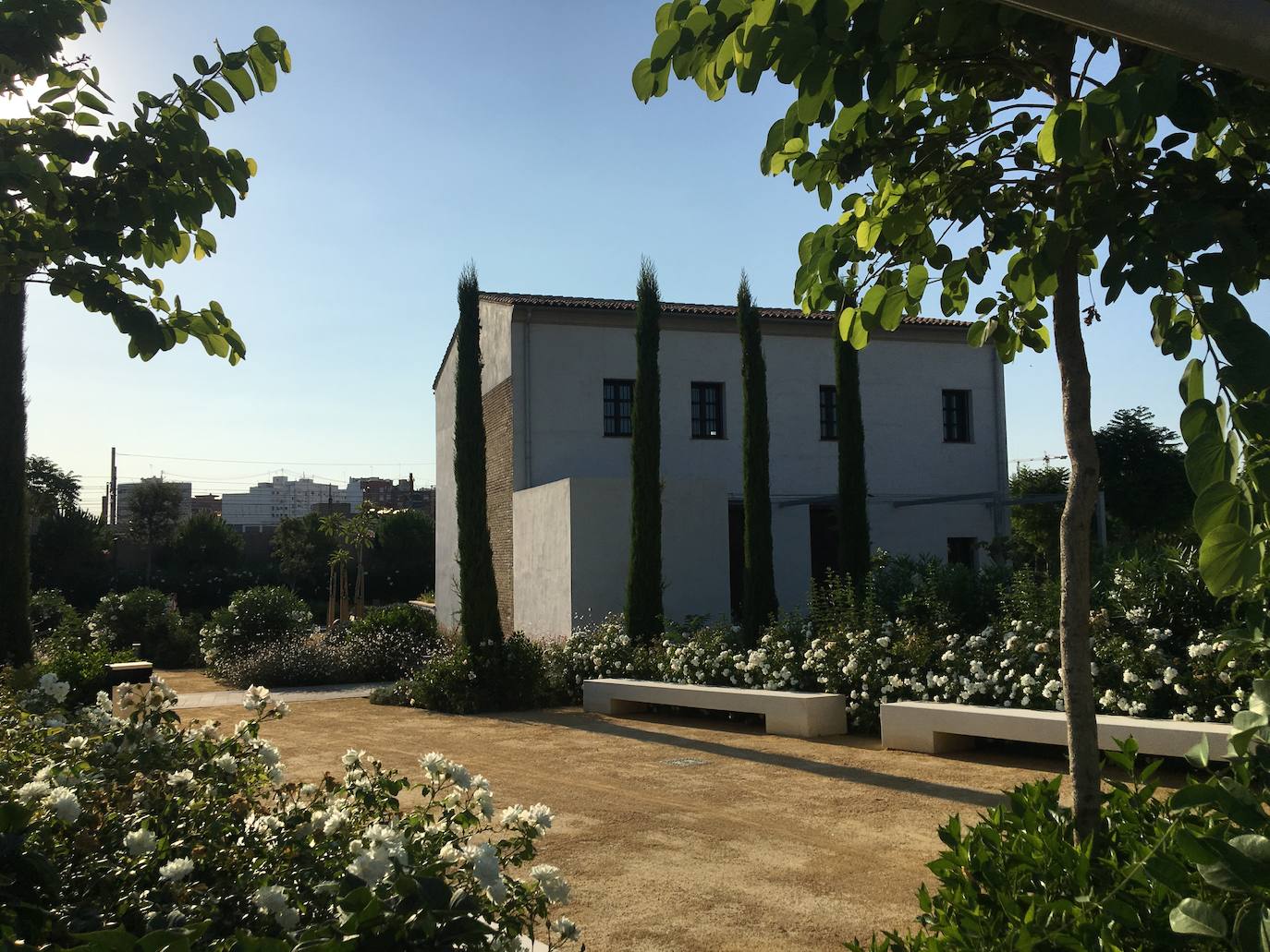 El Parc Central de Valencia, un lugar excepcional para pasar el verano sin salir de la ciudad.