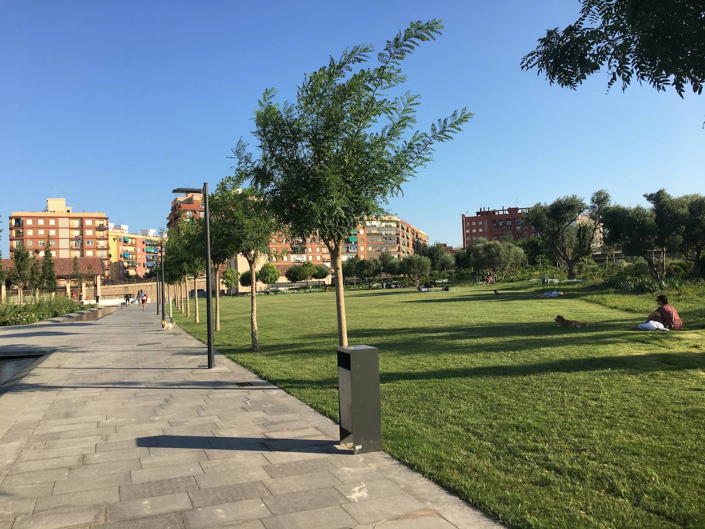 El Parc Central de Valencia, un lugar excepcional para pasar el verano sin salir de la ciudad.