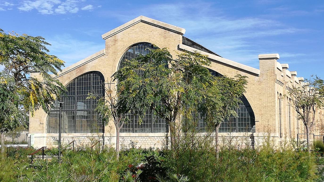 El Parc Central de Valencia, un lugar excepcional para pasar el verano sin salir de la ciudad.