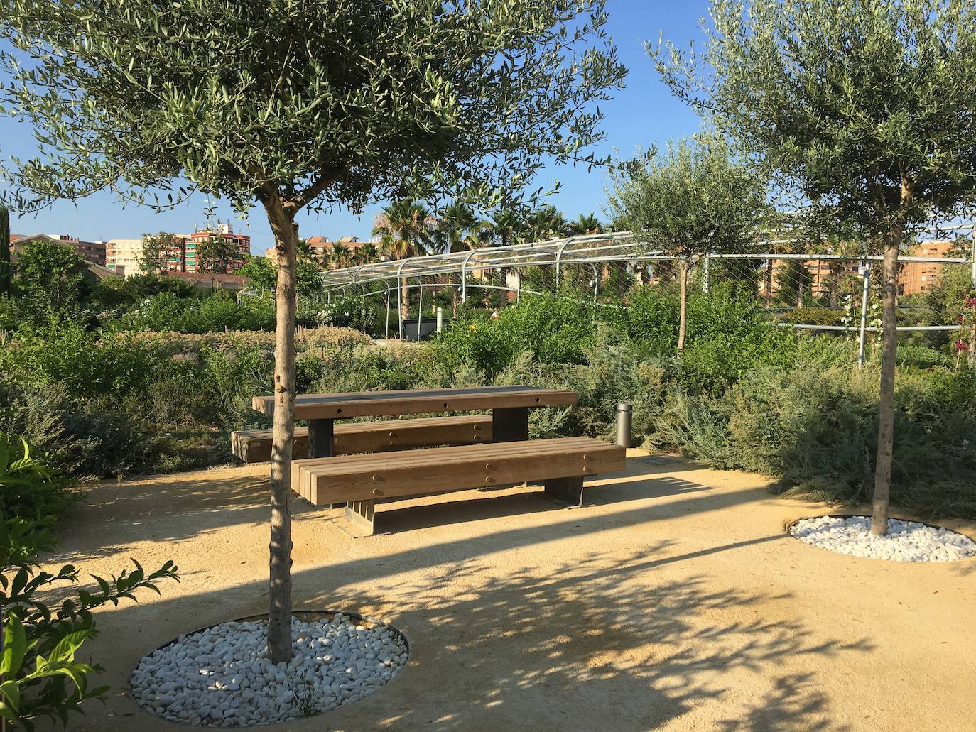 El Parc Central de Valencia, un lugar excepcional para pasar el verano sin salir de la ciudad.