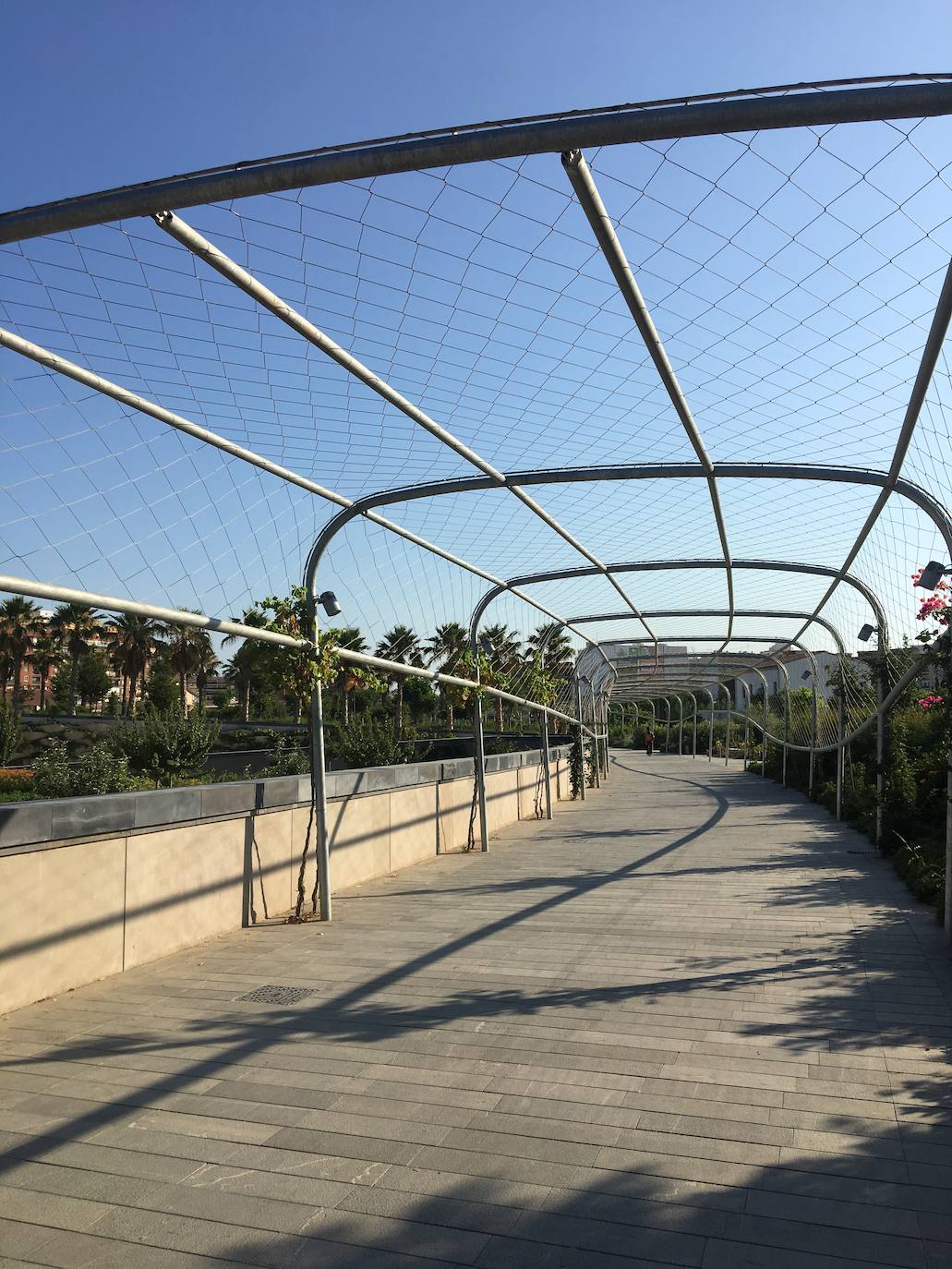 El Parc Central de Valencia, un lugar excepcional para pasar el verano sin salir de la ciudad.