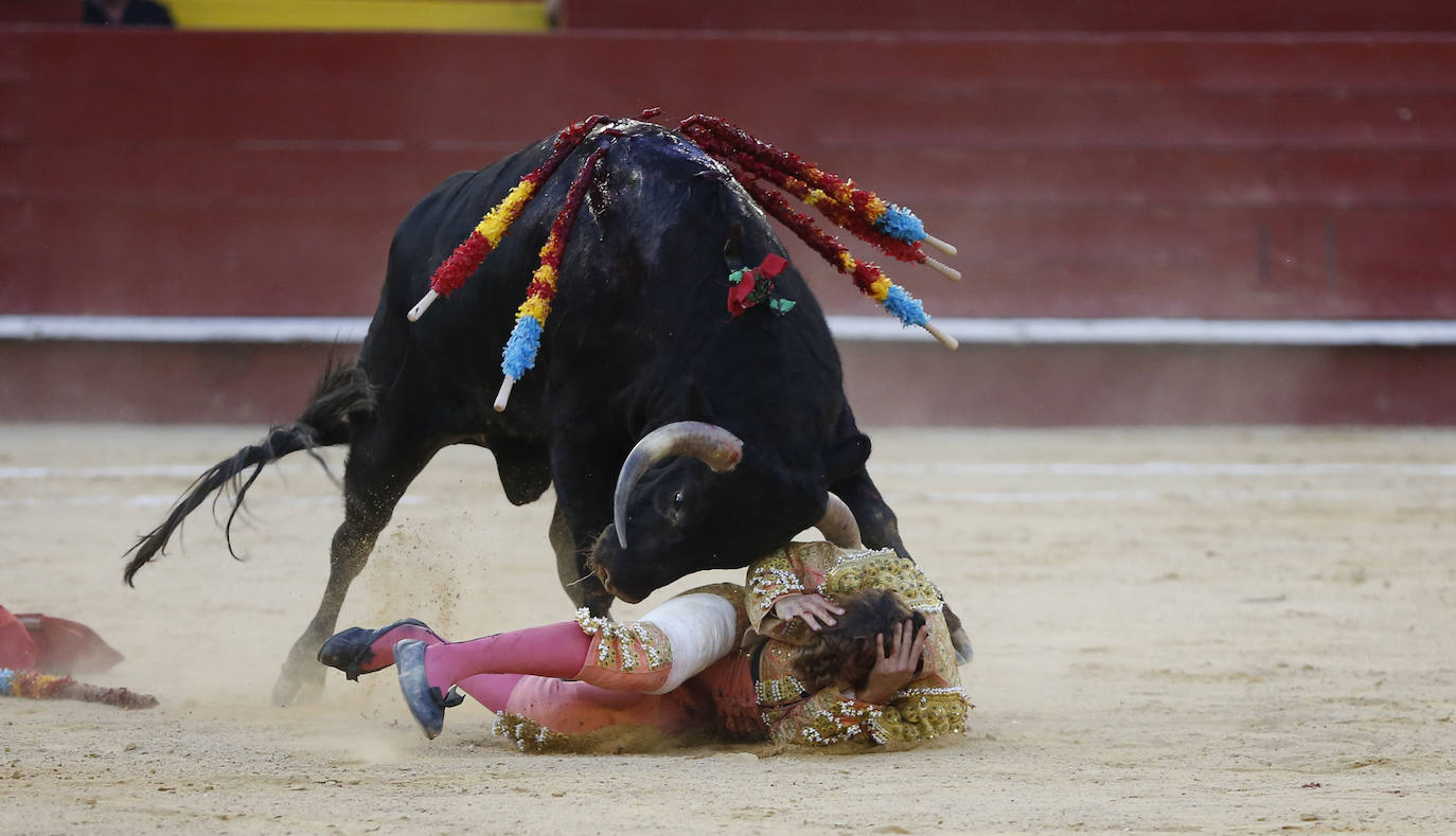 La primera novillada de la Feria de Julio en la Plaza de Toros de Valencia, celebrada este jueves, se vio sobresaltada durante la segunda faena del valenciano Borja Collado. Una voltereta impresionante le llevó del ruedo a la enfermería; y, su coraje, de la enfermería al ruedo con una brecha en la cabeza. En ese tramo de la faena, sobre la mano izquierda, toreó con mucha sinceridad y dominio. Primaron la emotividad y la entrega y el público solicitó una merecida y sufrida oreja.