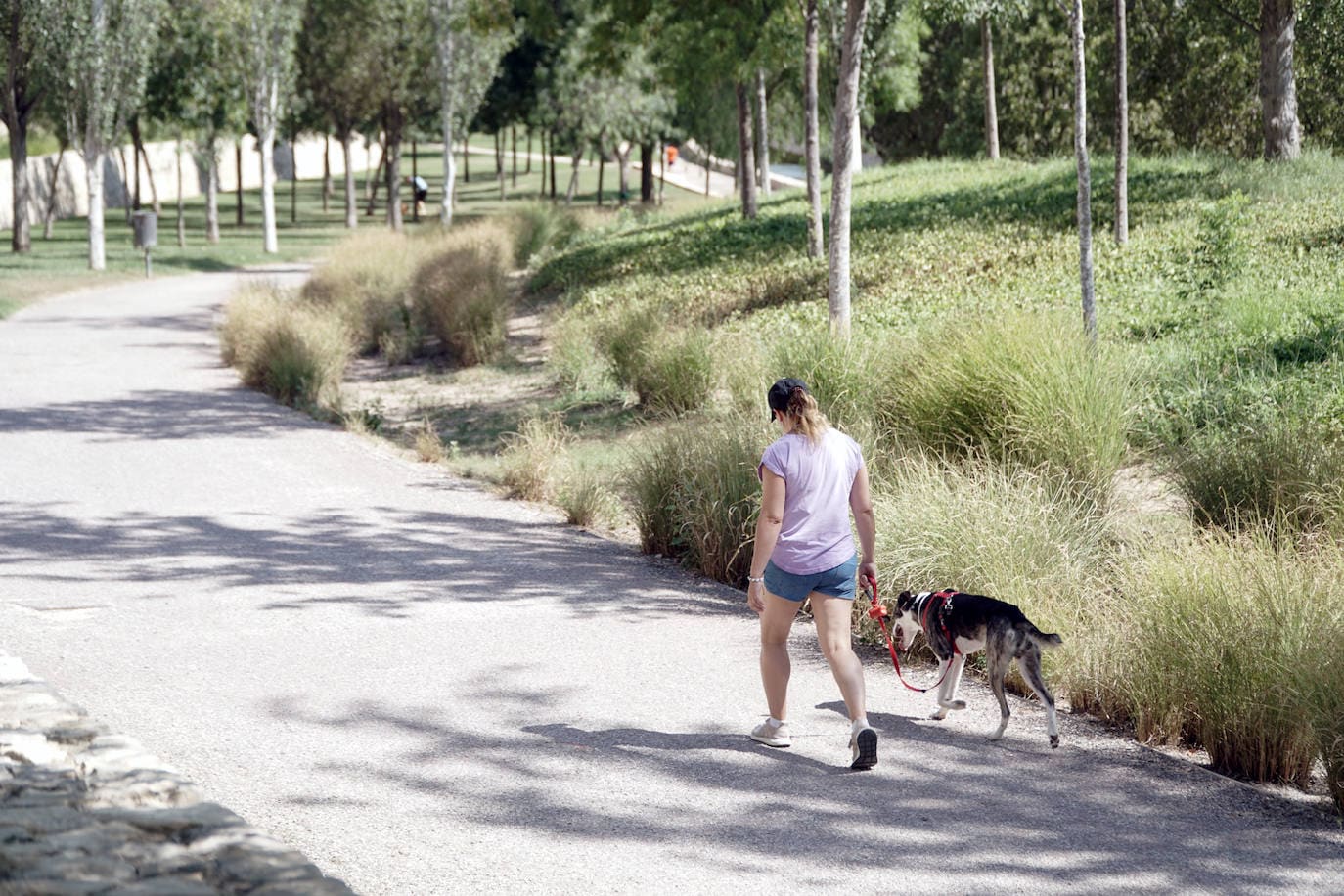 Fotos: Parque de Cabecera 2019