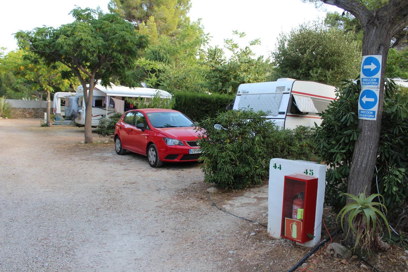 Camping Los Pinos 