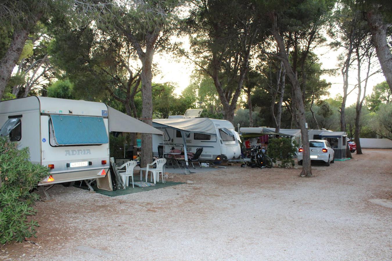 Camping Los Pinos.