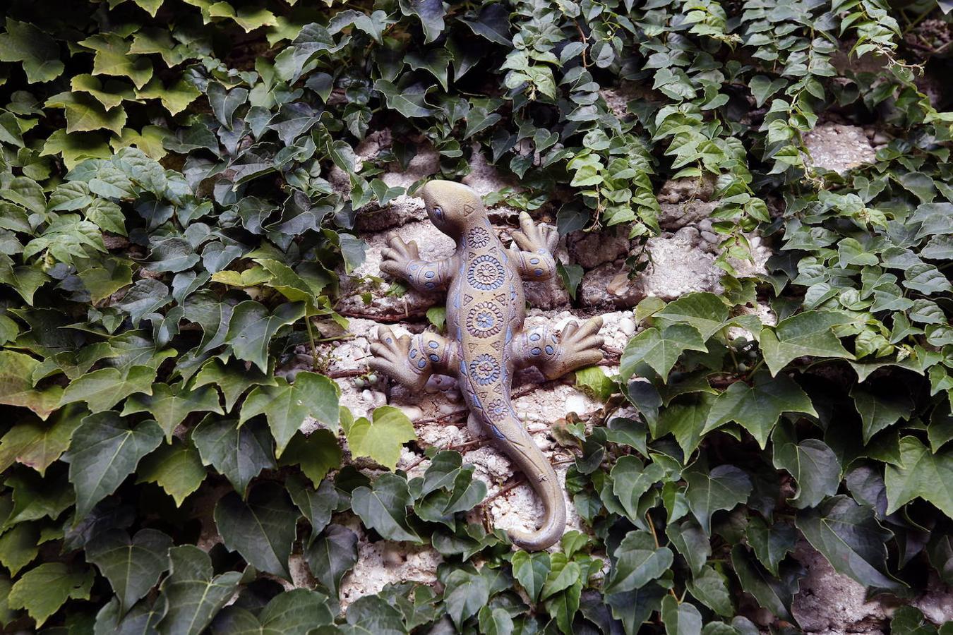 Hace veintiún años Queka encontró de casualidad la casa en Els Poblets que hoy acoge su hogar. «Yo soy de Ondara, y al nacer mi hijo decidí quedarme aquí para que creciera rodeado de la familia. Vivimos muy a gusto, hay muchos extranjeros y residentes con inquietudes culturales y gastronómicas que se implican en la vida del pueblo», explica. Desde el principio tuvo claro que no iba a acometer una reforma integral, sino que su deseo era ir transformándola a fuego lento para que fuera evolucionando según las necesidades. A la hora de decorar, confiesa Queka que le gusta rodearse de antigüedades, pues se siente atraída por lo viejo por ello, casi todas las piezas tienen una historia detrás. En la planta inferior el espacio se articula en torno a una cocina que ella mismo diseñó y que se exhibe como el resto de mobiliario. Además, está la habitación de su hijo y un baño. En la planta superior se ubica su dormitorio, el de su hija Anouk, un baño, la sala de estar y un cuarto donde atesora los más de mil películas que dejan huella sobre su amor por el cine.