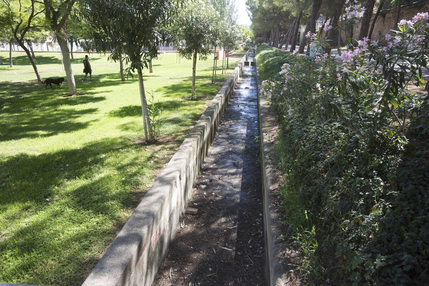 Fotos: La suciedad toma las canchas del viejo cauce del Turia en Valencia