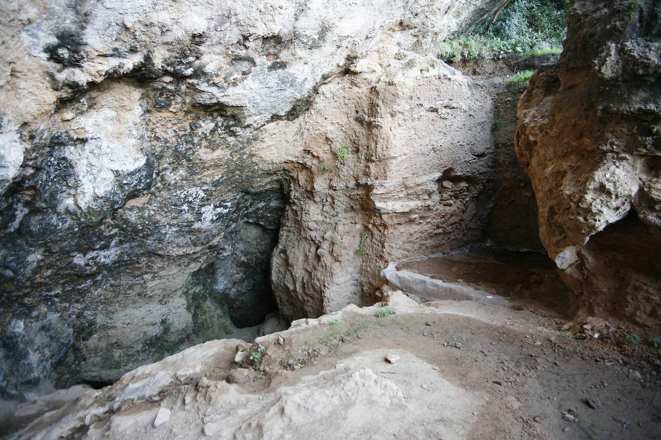 Fotos: Cova de Bolomor en Tavernes de la Valldigna