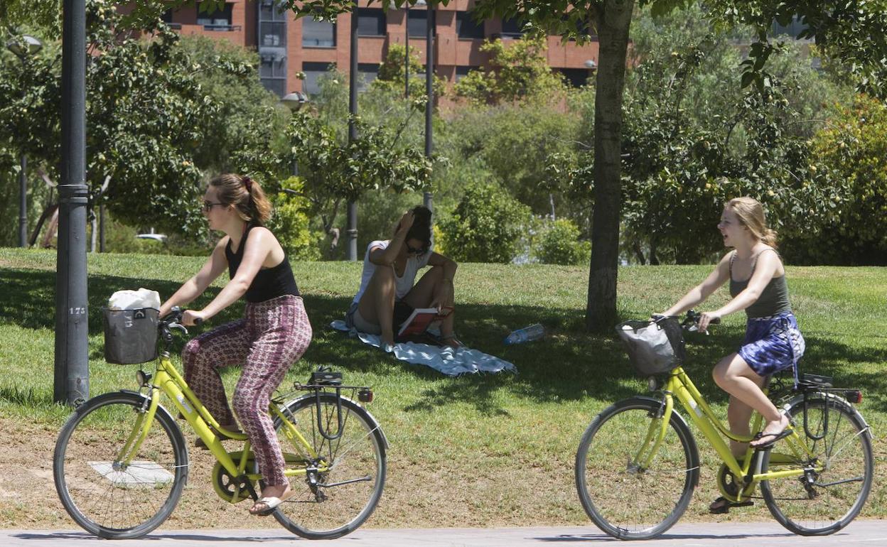 Dos ciclistas en Valencia este viernes 9 de agosto.