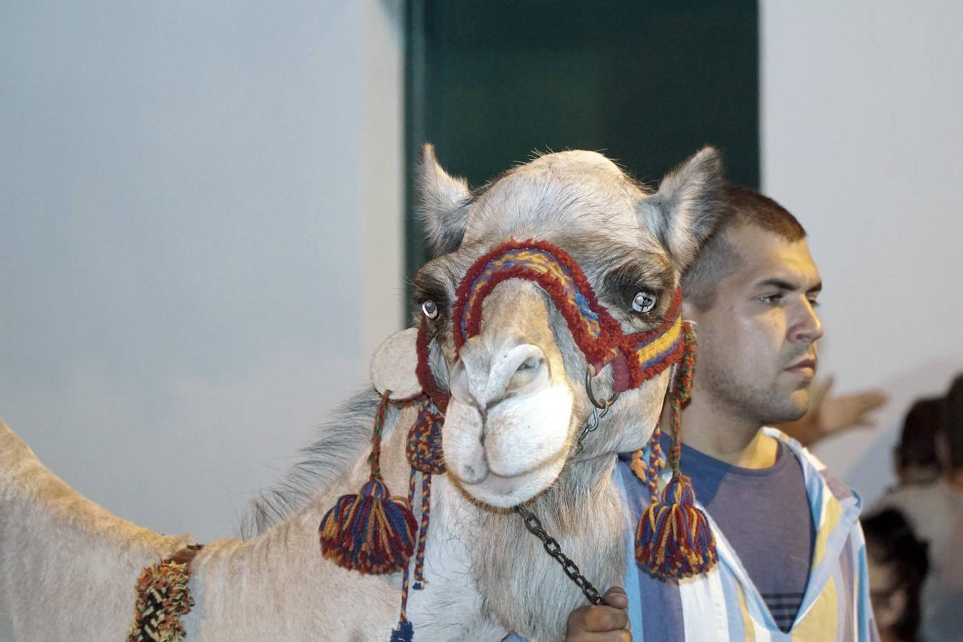 Fotos: Fiestas de Moros y Cristianos de Paterna 2019