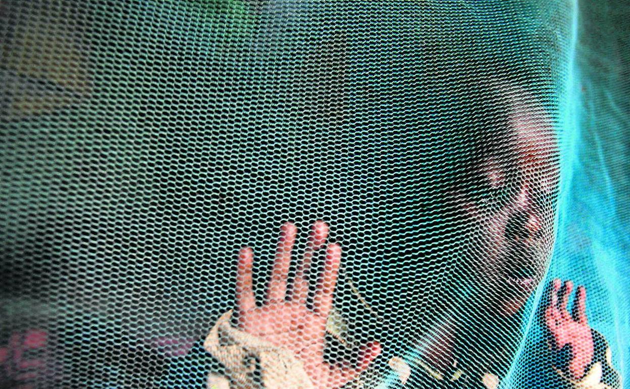 La globalización ha hecho que enfermedades tropicales se extiendan por todo el planeta.