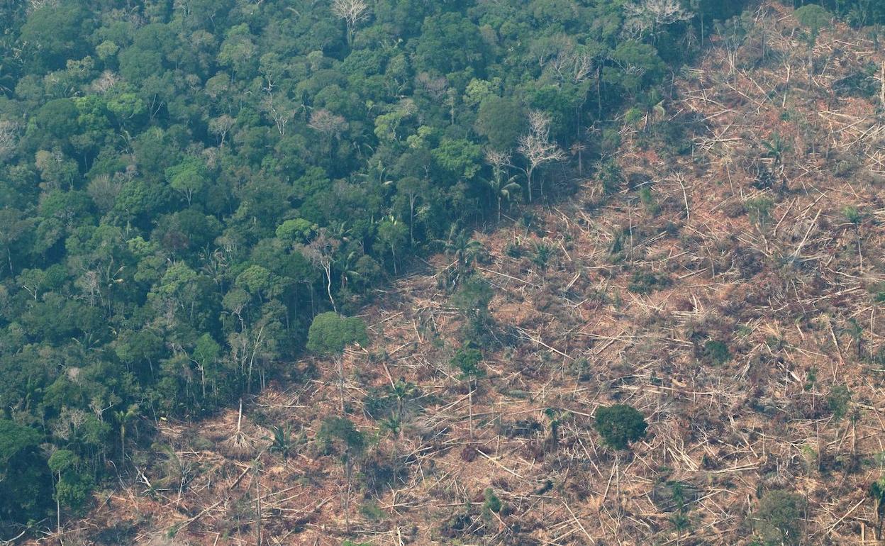 Vista aérea de áreas deforestadas de la selva amazónica de Porto Velho. 