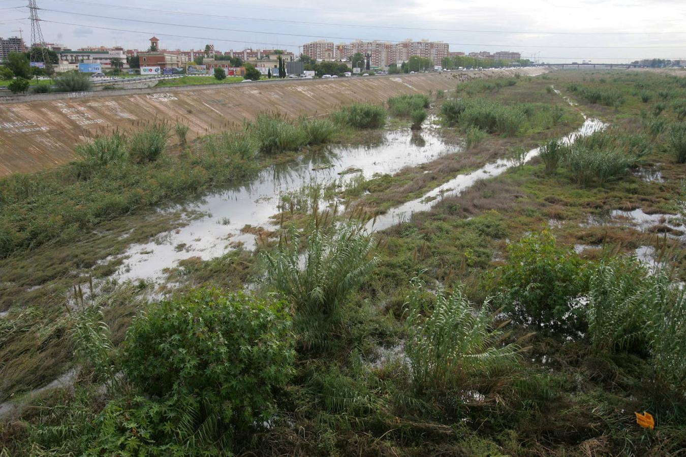 El nuevo cauce, útil pero feo. La cicatriz quesalva de las riadas. 17 puentes cruzan el nuevo cauce, donde el Ayuntamiento quiere recuperar el lecho para un uso público como zona de paseo. De momento, no se ha avanzado nada y se cuenta sólo con unos primeros estudios.