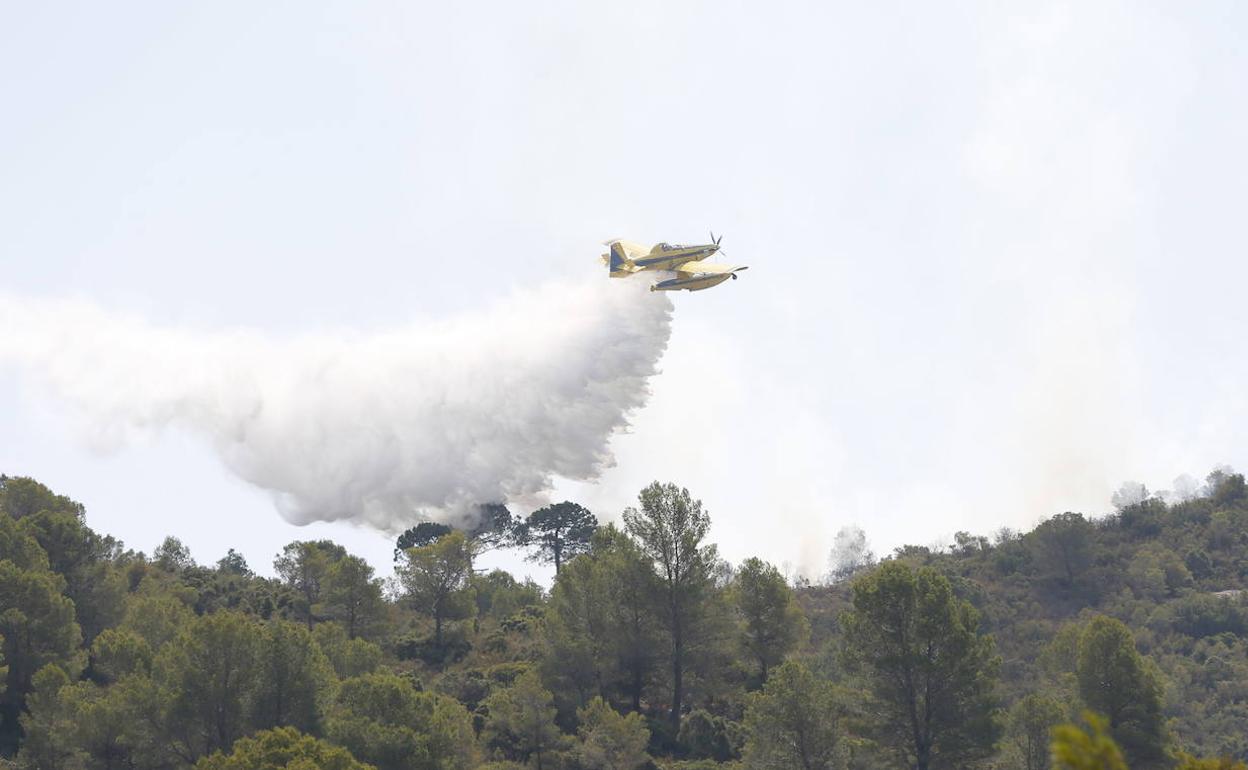 Hidroavión trata de sofocar un incendio forestal. 