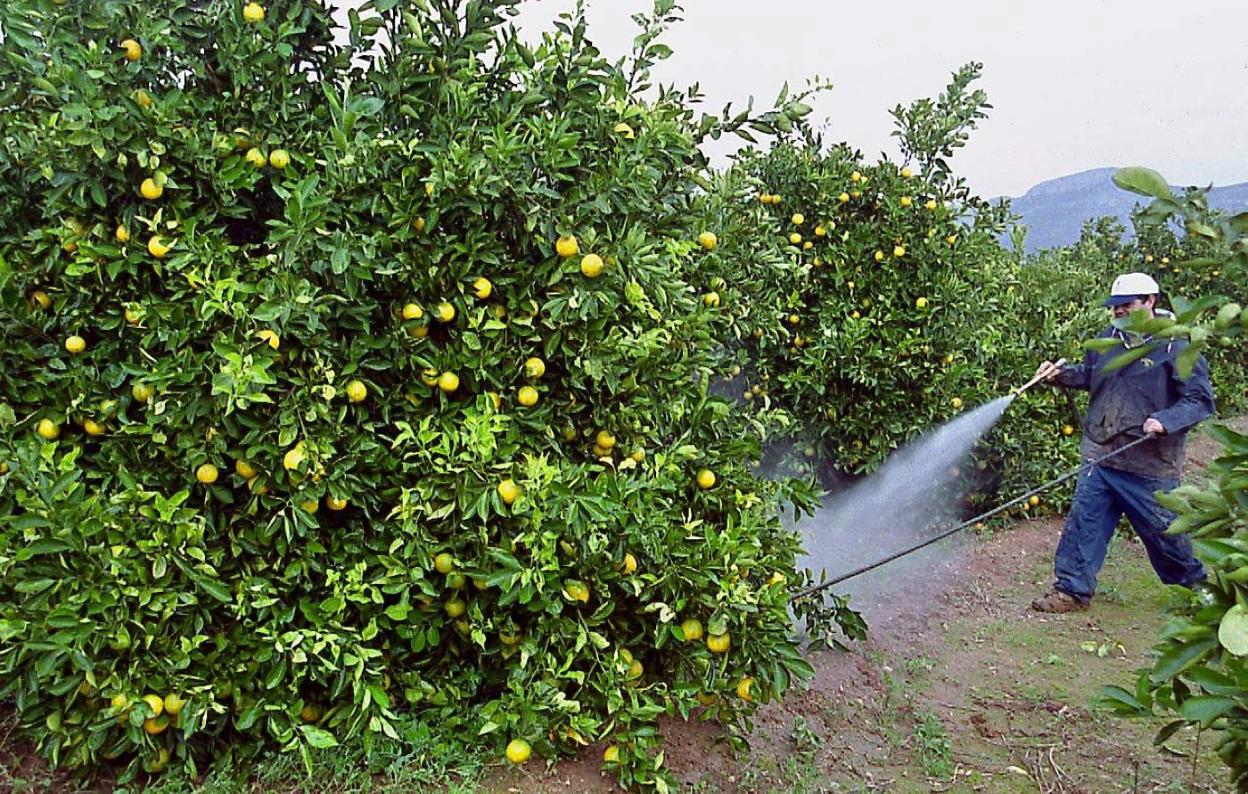 Ciudades de Francia prohíben los pesticidas cerca de las casas