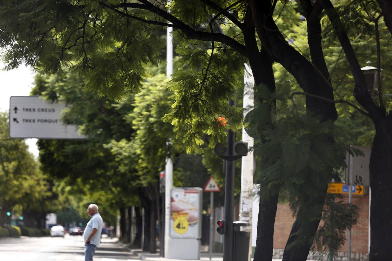 Avenida Tres Cruces.