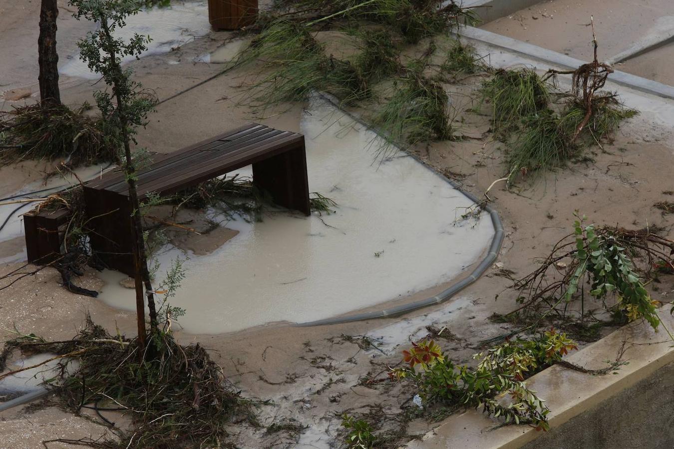 Fotos: La gota fría de la Comunitat en imágenes