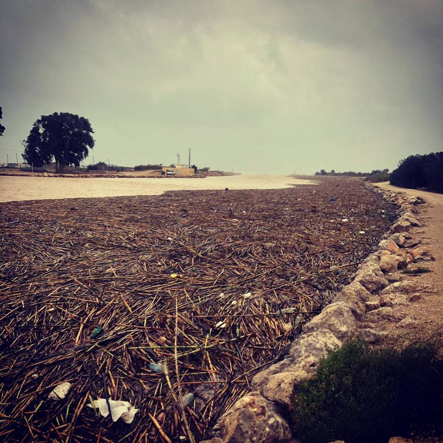 Fotos: La gota fría de la Comunitat en imágenes