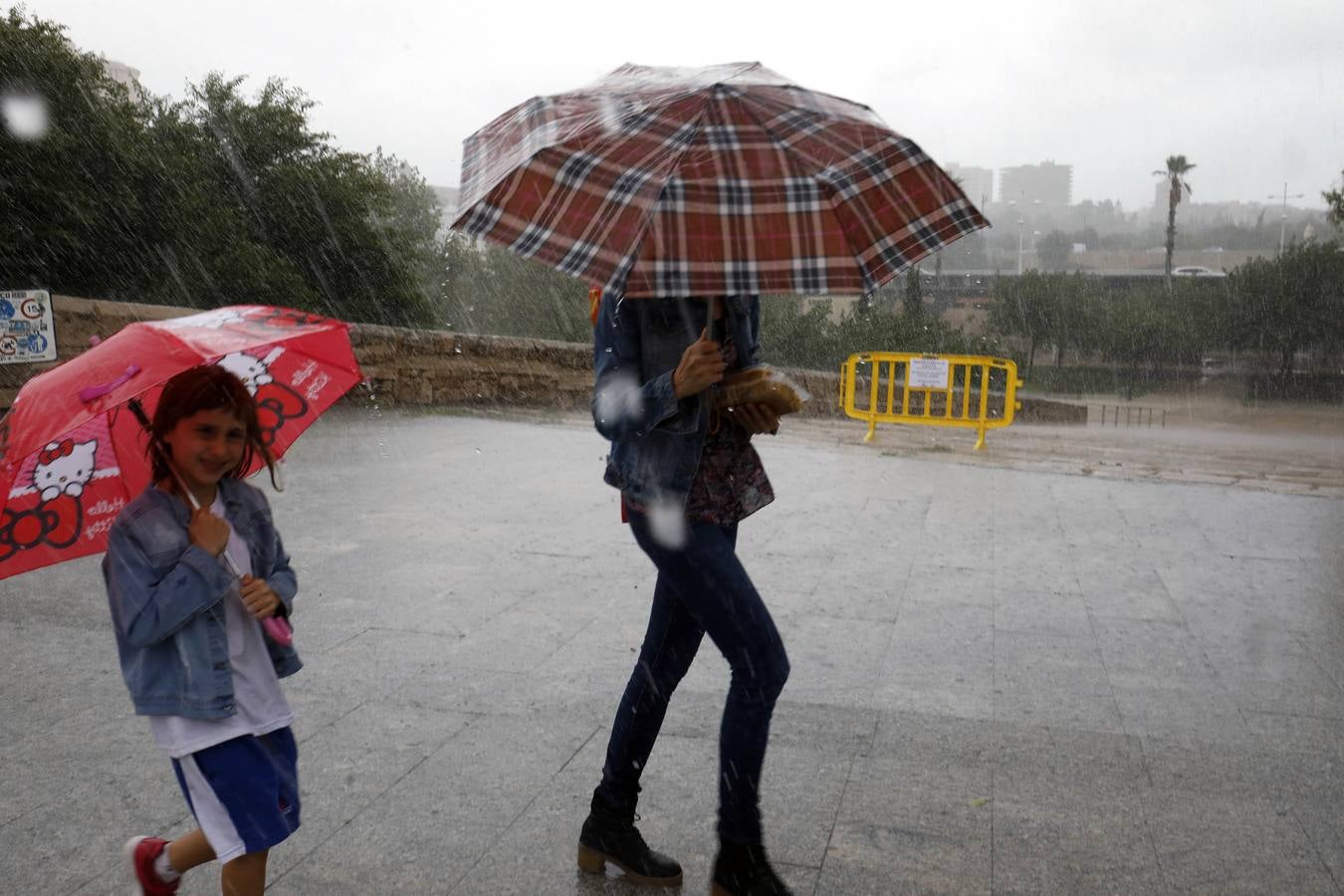 Fotos: La gota fría de la Comunitat en imágenes