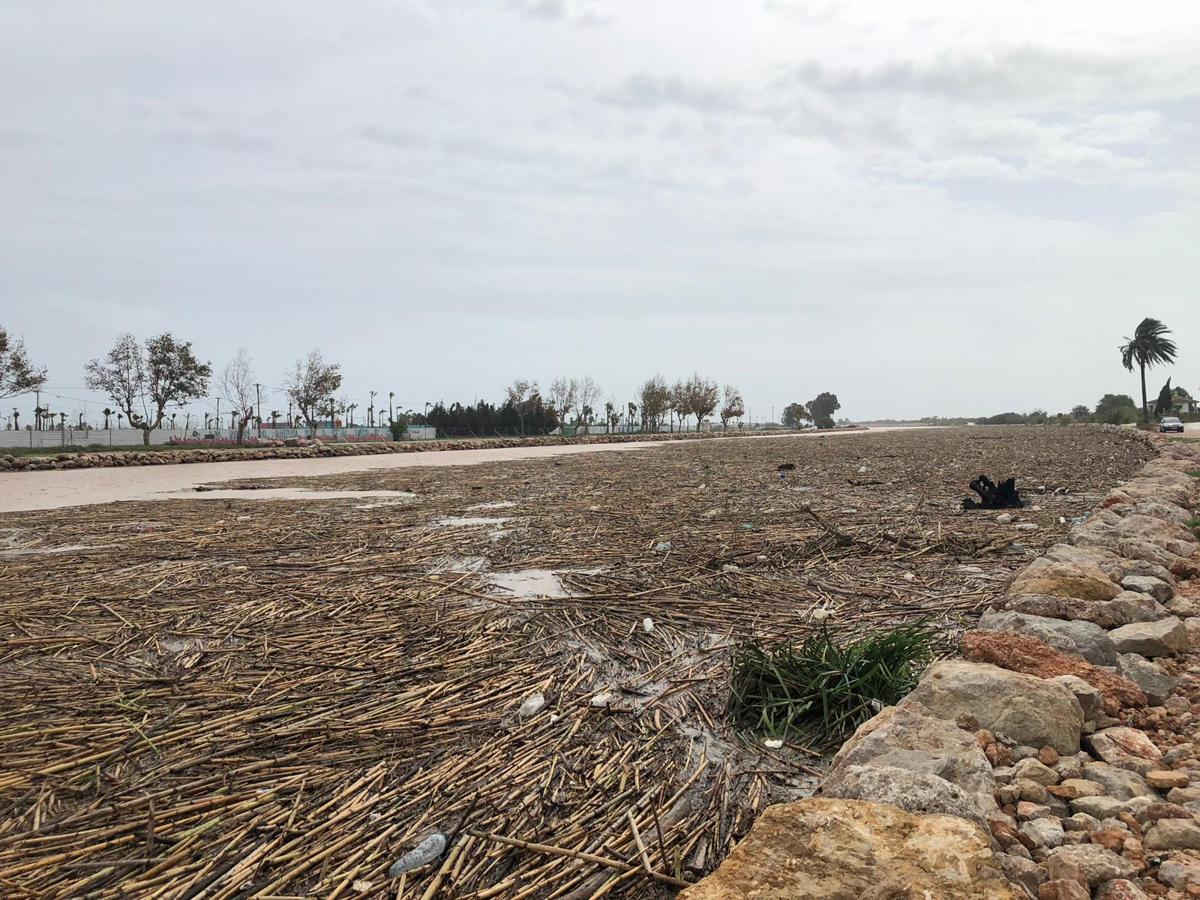 Fotos: Precipitaciones en la Ribera