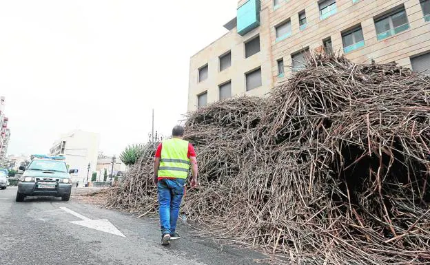 Un hombre camina junto a una montaña de cañas en Orihuela.